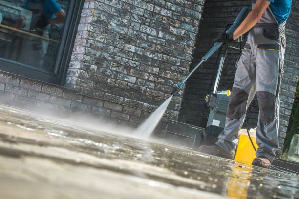 Best Restaurant Pressure Washing  in Brown City, MI