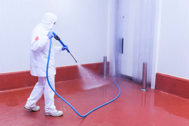Best Paint Preparation  in Brown City, MI