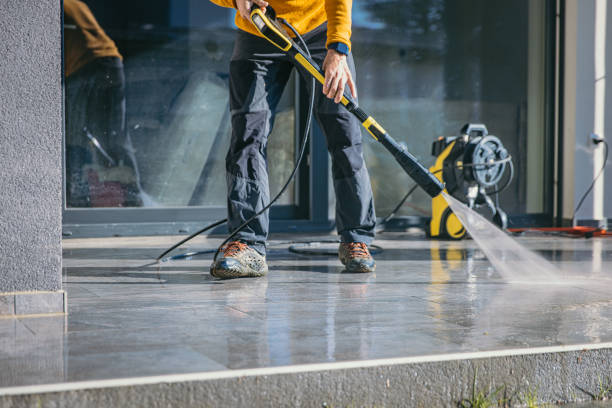 Best Gutter Cleaning  in Brown City, MI