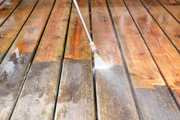 Best Dumpster Area Cleaning  in Brown City, MI