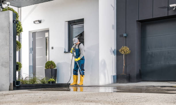 Best Driveway Pressure Washing  in Brown City, MI